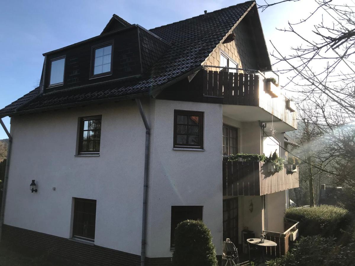 Ferienwohnung Bocksbergblick BB 14 Goslar Exterior foto